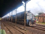 RUMO 2506